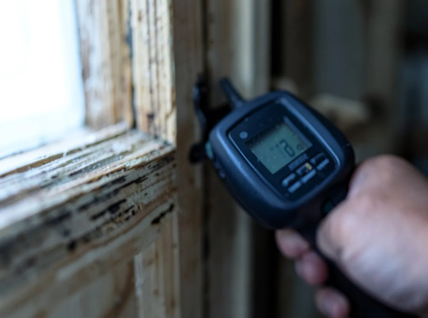 Moisture Inspection And Documentation in Riga, MI